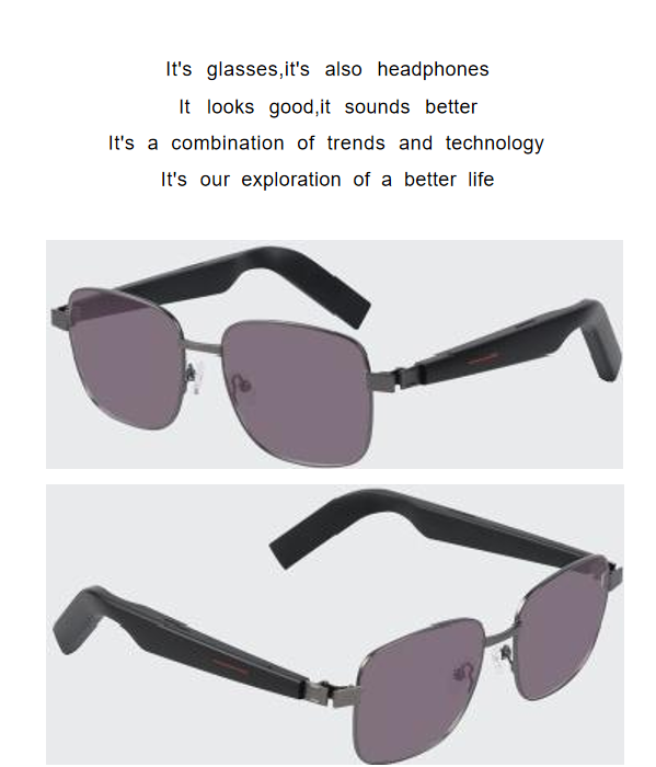 SG1 AI Sunglasses+Omni Port