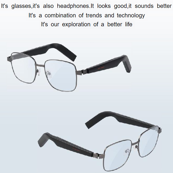 SG1 AI Glasses+Omni Port