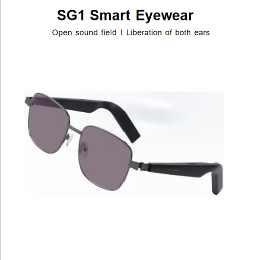 SG1 AI Sunglasses+Omni Port
