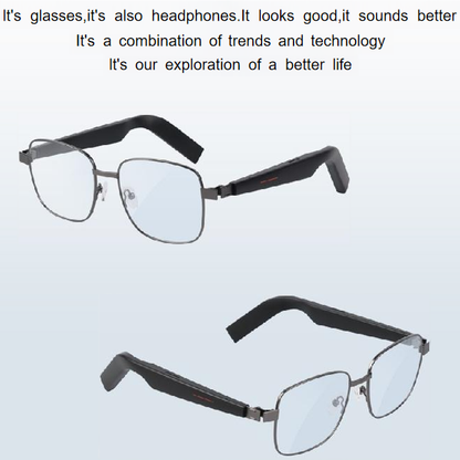 SG1 AI Glasses+Omni Port